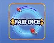 Fair Dice