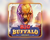 Big Buffalo